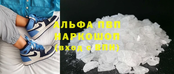 гидра Вязьма