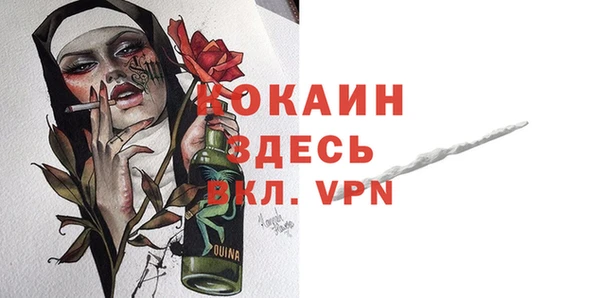 гидра Вязьма
