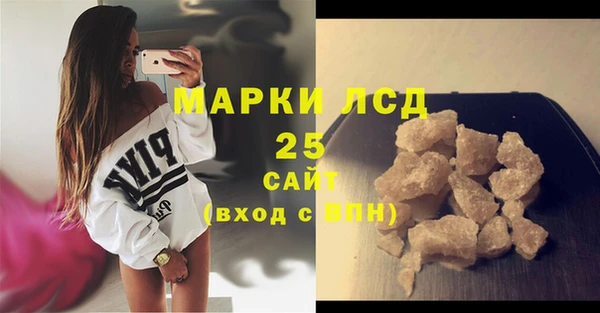 гидра Вязьма