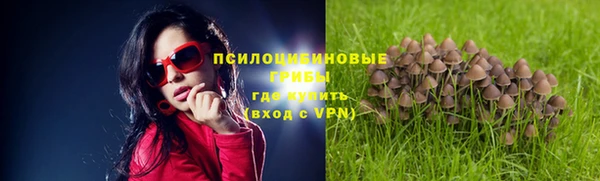 a pvp Вяземский