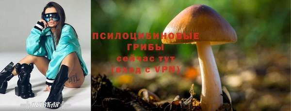 a pvp Вяземский