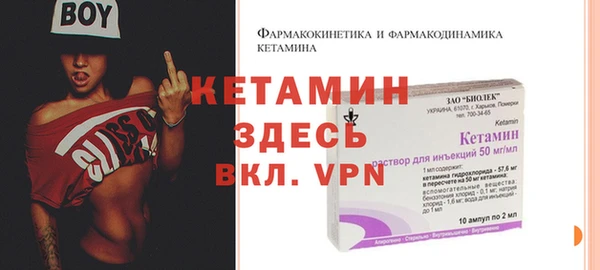 гидра Вязьма