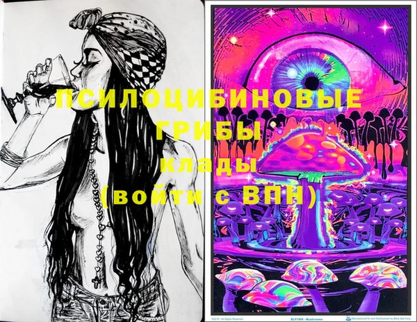амф Вязники