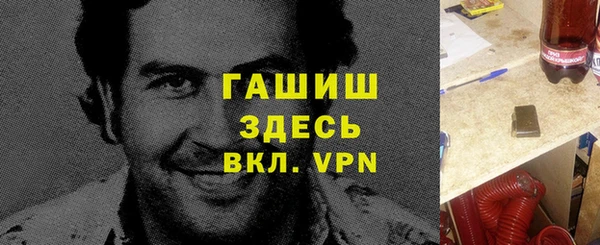 гидра Вязьма