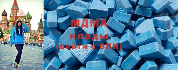 гидра Вязьма