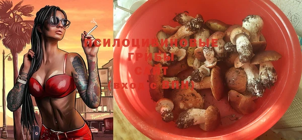 a pvp Вяземский