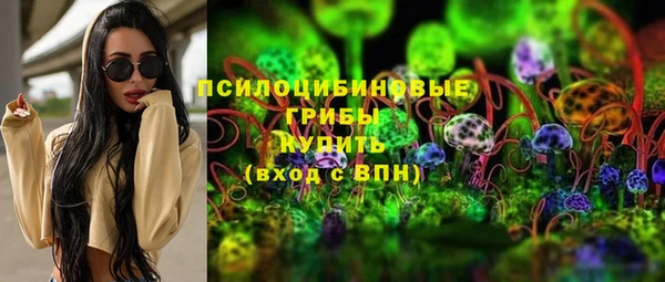 a pvp Вяземский