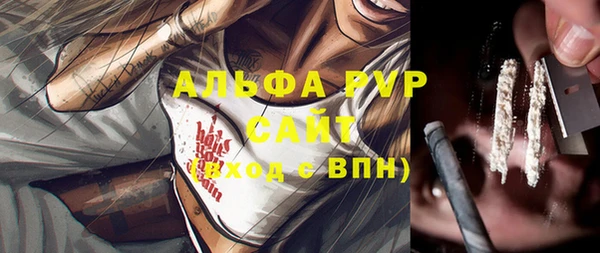 гидра Вязьма