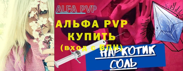 гидра Вязьма