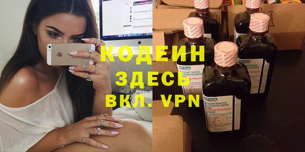 гидра Вязьма