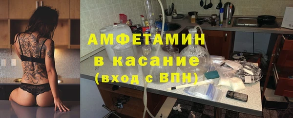 гидра Вязьма