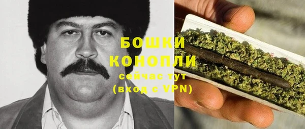 гидра Вязьма