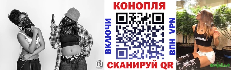 Купить  Курчатов  Шишки марихуана SATIVA & INDICA 
